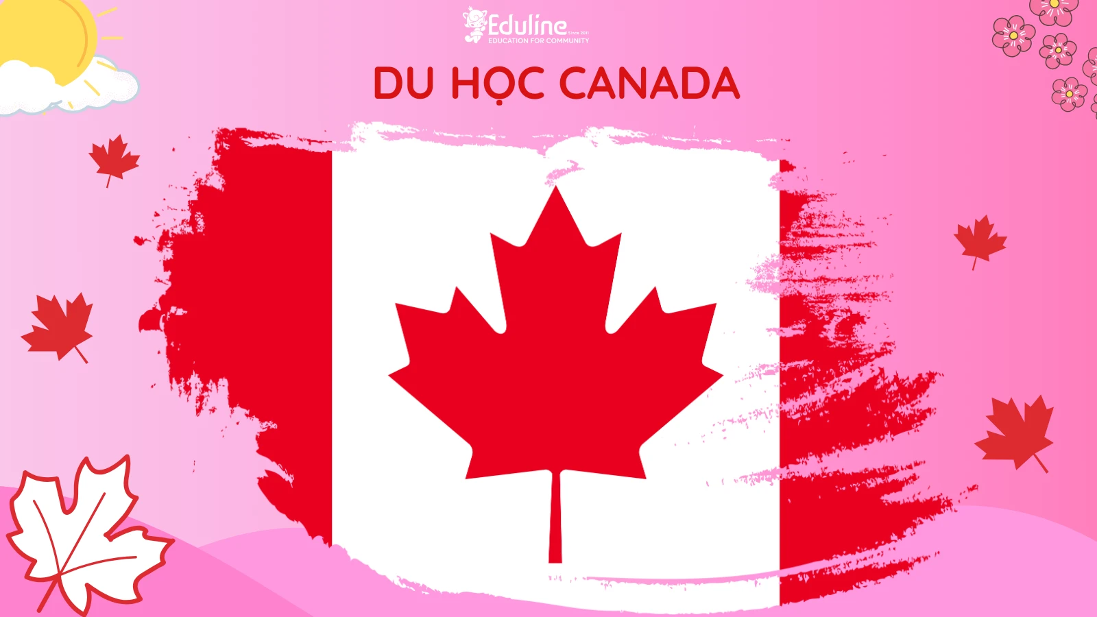 Tư vấn du học Canada 2024: Hỗ trợ săn học bổng, xin Visa