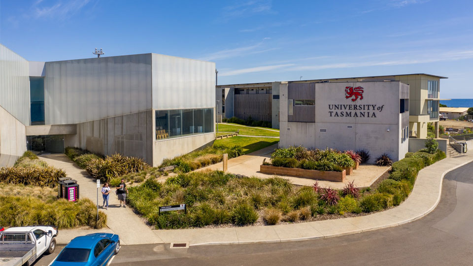 Trường Đại Học Utas - Mỹ